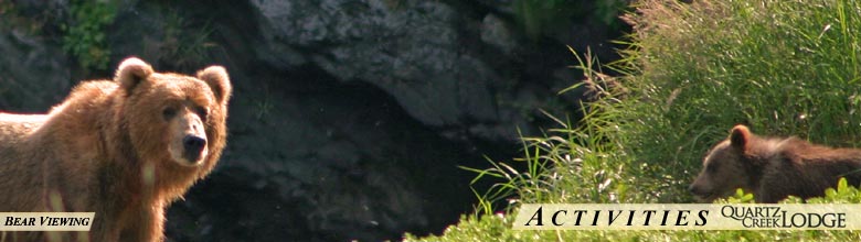 Bear Viewing at Quartz Creek Lodge